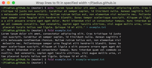 Screenshot of command line output of fold example.txt